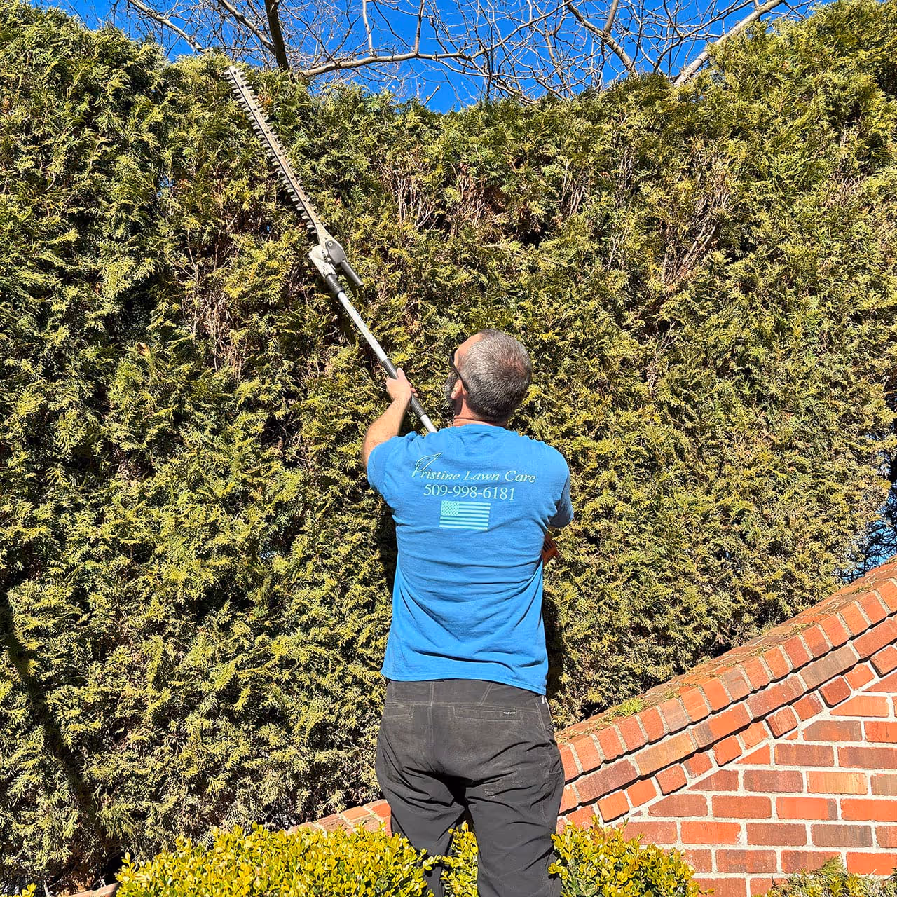 Reliable local landscaping company