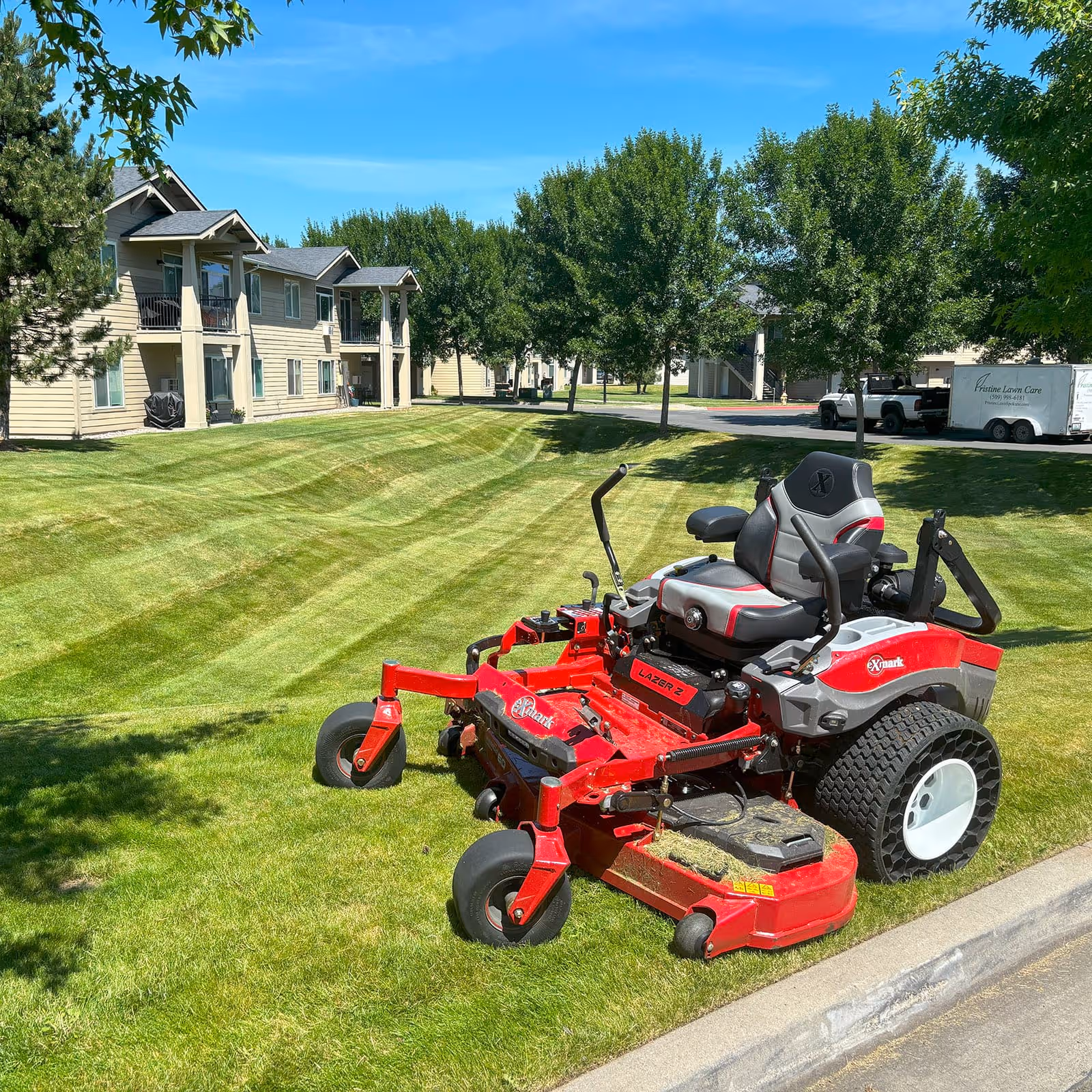 Before and after lawn transformation